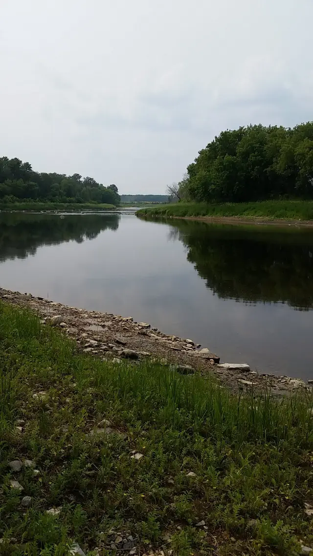 Red Deer River shoreline